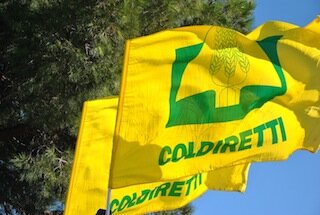 Coldiretti: “La Campania è prima per bandiere per gusto”