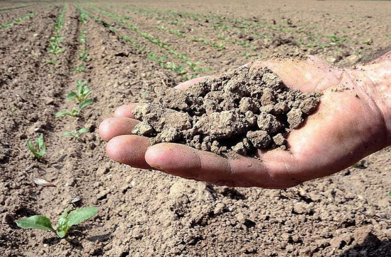 La siccità asciuga il Sud Italia: ad agosto campi senza acqua