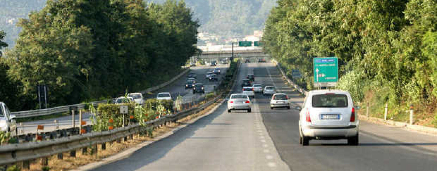 Mucche morte in autostrada, traffico impazzito