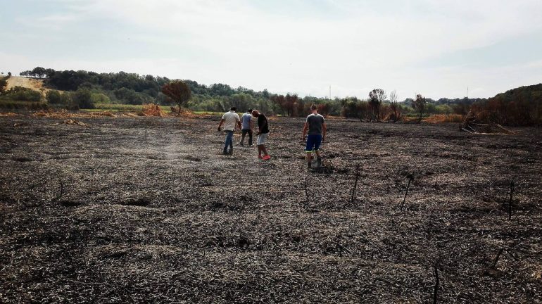 Salerno, l’allarme dei Cinque Stelle: ‘Persano, dove prima c’era un’oasi ora uno scenario spettrale’. LE FOTO