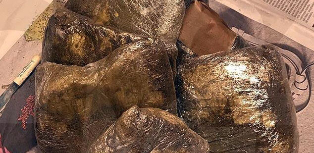 Maxi sequestro di droga a Gioia Tauro: 53 chili di cocaina tra i sacchi di carbone