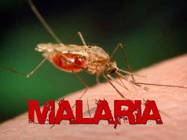 Bimba di quattro anni morta di malaria a Brescia
