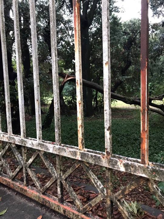 Maltempo: danni al Parco della Reggia di Caserta