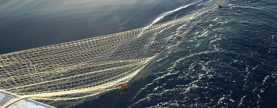 Sequestrata una rete da pesca illegale nelle acque vicino Agnone Cilento