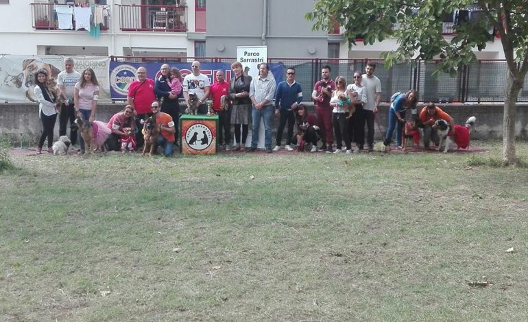 Sarno: domenica speciale al Parco Sarrastri con il “Gran Galà a 4 zampe”