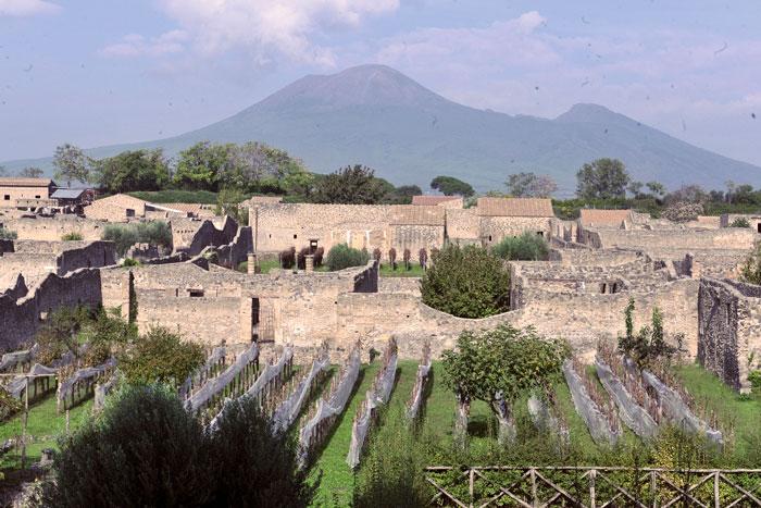 Diciottesima edizione con la vendemmia a Pompei: mercoledì 25 ottobre, il taglio dell’uva