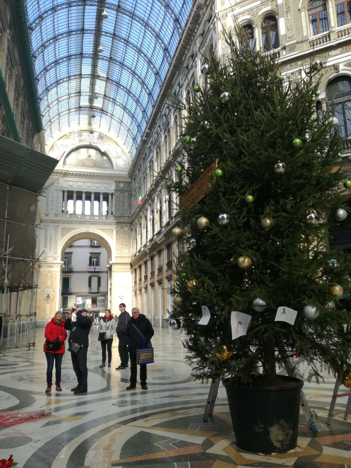 Napoli, i carabinieri ritrovano l’albero rubato dalla Galleria