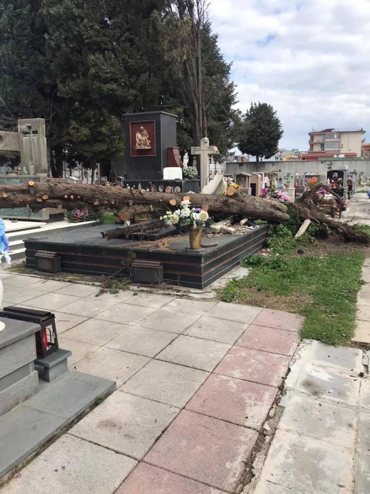 Castellammare, albero crollato sulle tombe del cimitero: la foto è virale sul web