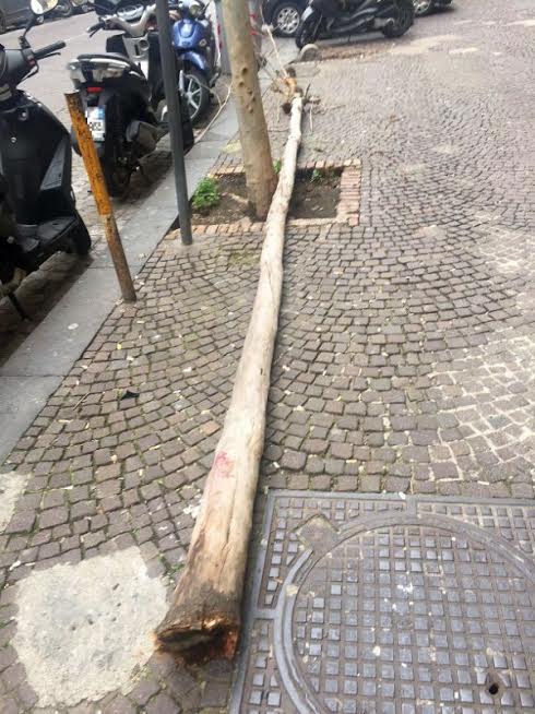 Napoli, albero cade al Vomero: tragedia sfiorata