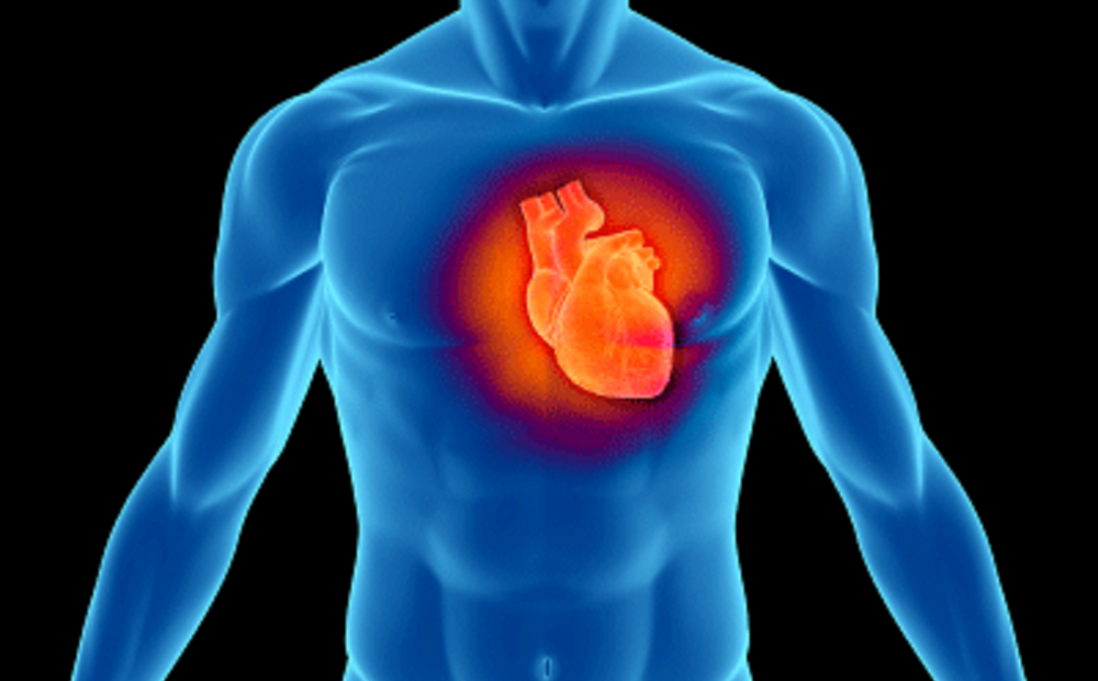 Siprec: una roadmap per la prevenzione delle malattie cardiovascolari