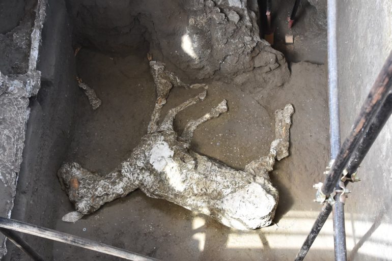 Pompei. Nuova scoperta a Civita Giuliana: riemersa la sagoma di un cavallo