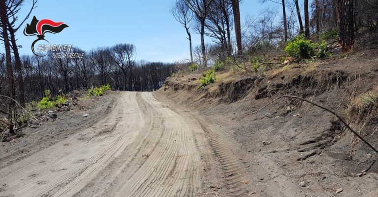 Scempio nel parco del Vesuvio: i carabinieri scoprono una pista abusiva per i cavalli. LE FOTO