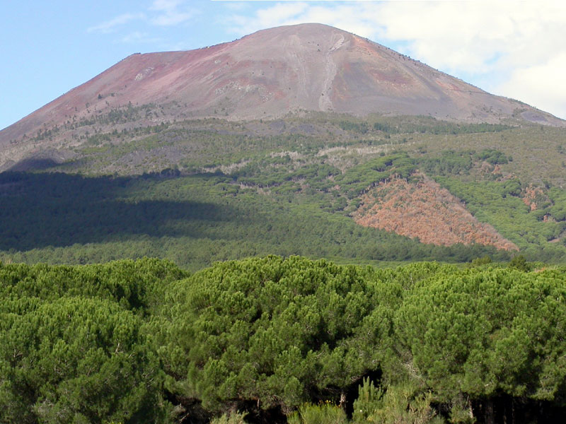 Approvato il piano anticendi boschivi del Parco nazionale del Vesuvio