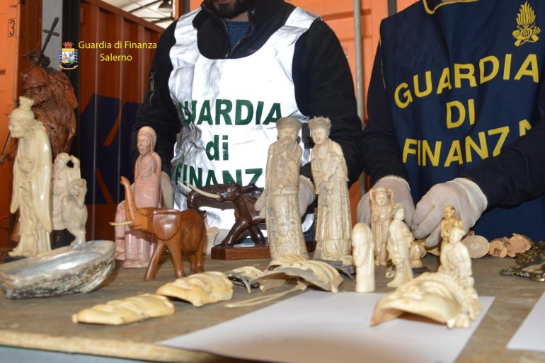 Maxi sequestro di avorio, pelli di pitone, coccodrillo, coralli e anfore provenienti dal Nord Africa