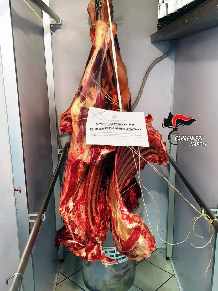 Sequestrati 300 chilogrammi di carne priva di tracciabilità in una macelleria magrebina nel Nolano