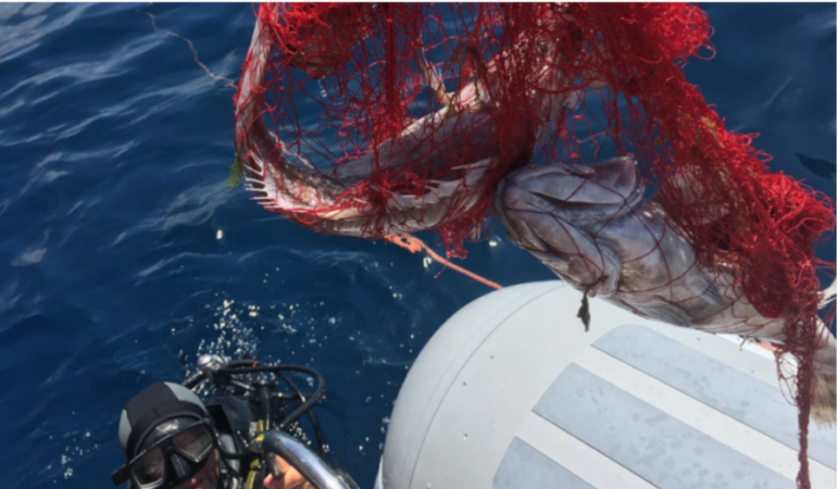 Massa Lubrense: scoperta rete killer nel parco marino di Punta Campanella