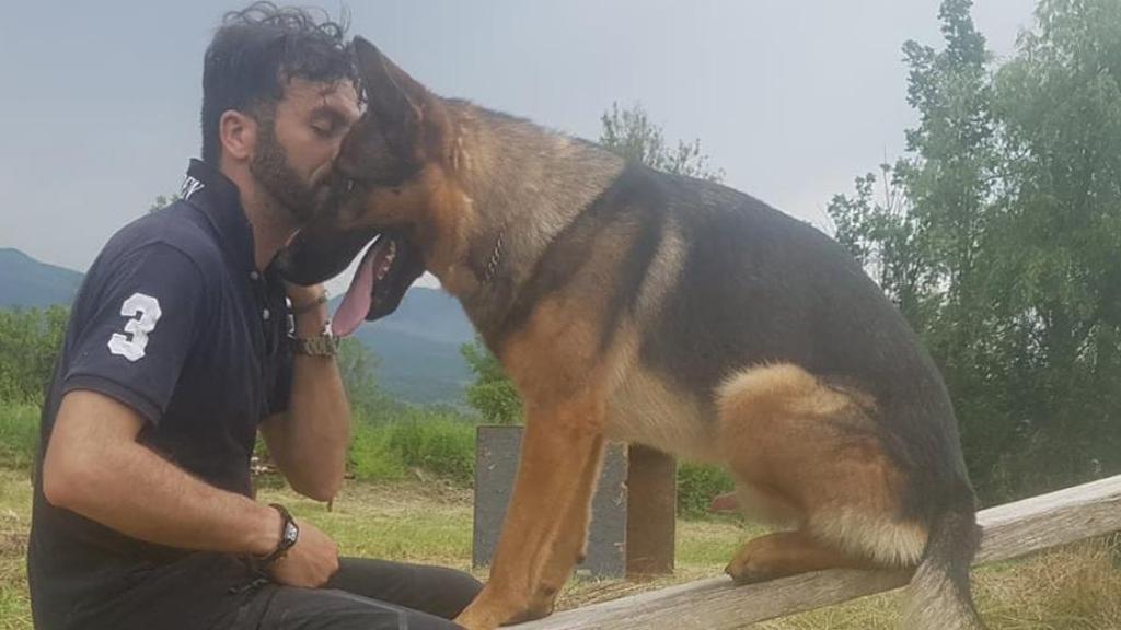 Ucciso il cane Kaos: fu eroe del terremoto ad Amatrice
