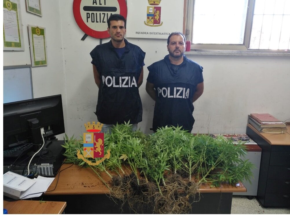 Napoli, aveva 17 piante di marijuana in casa: denunciato 44enne di Fuorigrotta