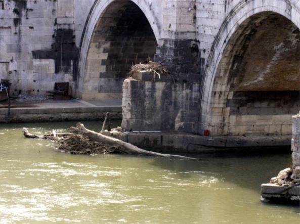 Avellinese scomparso da una settimana salvato dalla polizia mentre stava per lanciarsi da un ponte a Roma