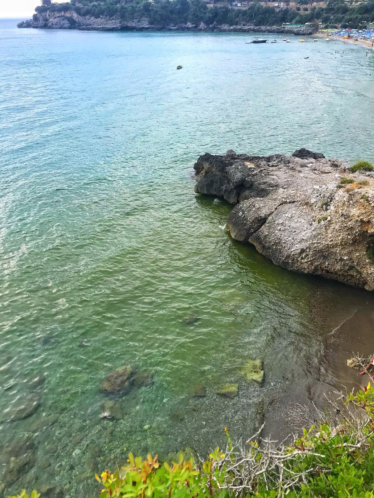 Il mare di Camerota non è sporco, le macchie verdi sono fioritura alghe