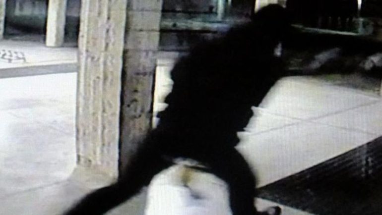 Arzillo 80enne mette in fuga quattro ladri dalla sua abitazione a colpi di fucile