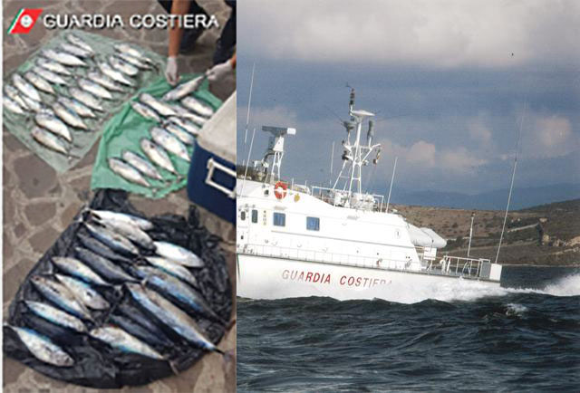Ischia, sorpresi a pescare tonno rosso: denunciati