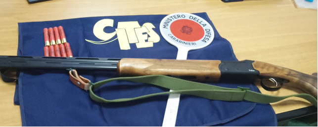 Servizi dei carabinieri del CITES contro il bracconaggio; scoperti 9 cani con la coda tagliata