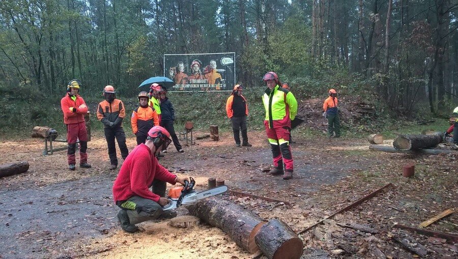 Operai forestali senza stipendio, il M5S: ‘Colpa della Regione’