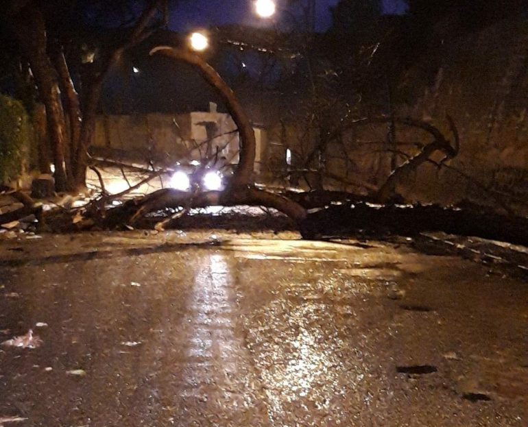 Napoli, tragedia sfiorata a Posillipo: il vento sradica un albero che piomba sulla strada
