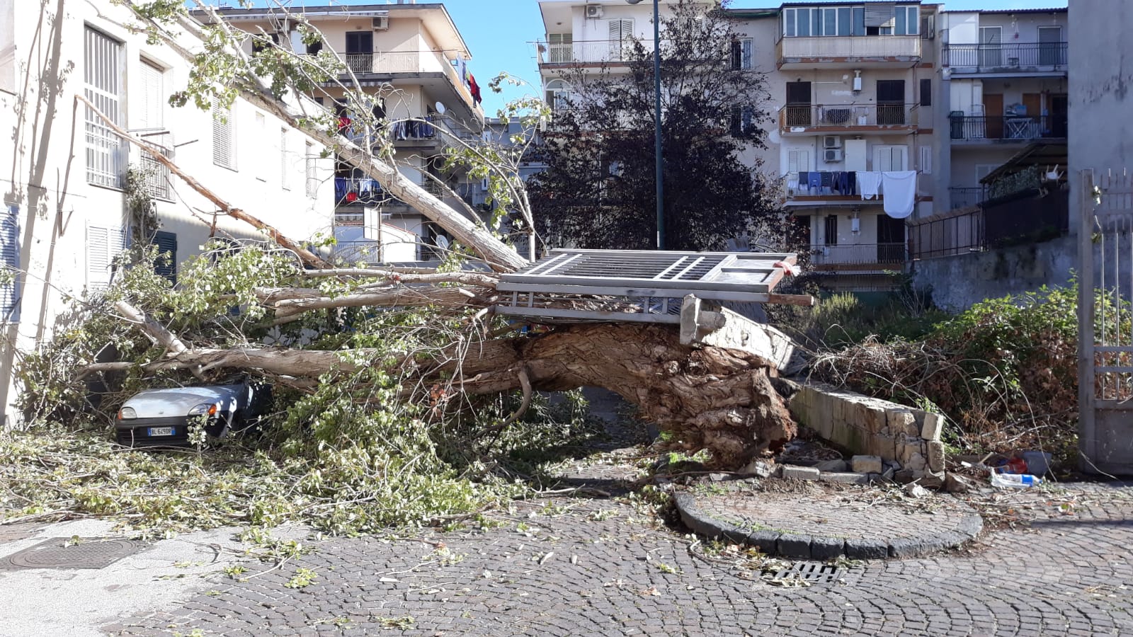 Napoli, a Secondigliano, albero caduto da due giorni su auto e casa vicino a scuola materna ma nessuno interviene
