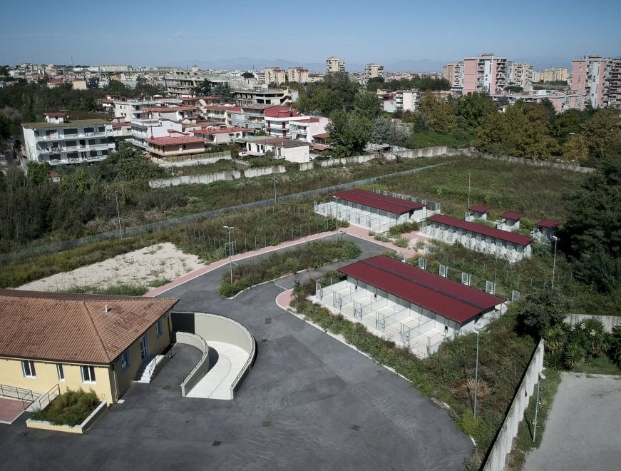 A Napoli il primo Centro municipale di accoglienza per cani