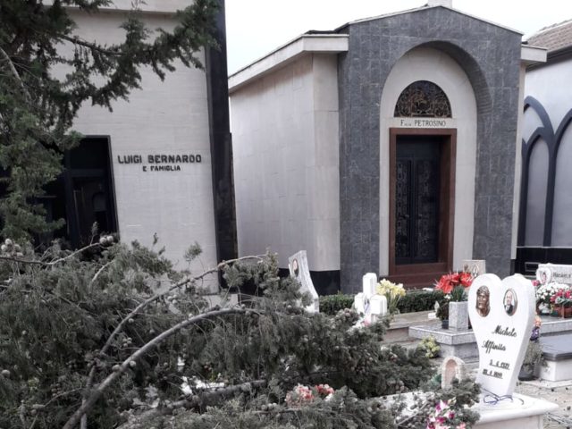 Tromba d’aria si abbatte sul cimitero: alberi abbattuti e tomba spazzata a 200 metri nel Casertano