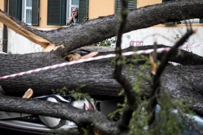 Maltempo:danni a San Rufo nel Salernitano per il forte vento Violente raffiche di vento su tutto il Vallo di Diano
