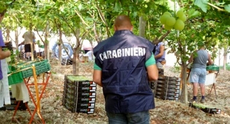 Salerno, bracciante agricolo indiano ucciso e decapitato: arrestato connazionale