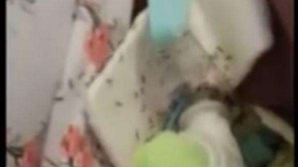 Napoli, raccolta fondi per il rimpatrio in Sri Lanka della donna ricoperta da formiche in ospedale