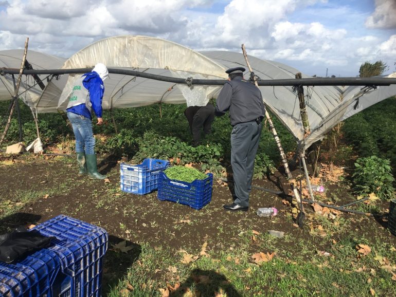 In manette sfruttatore di braccianti agricoli nel Casertano