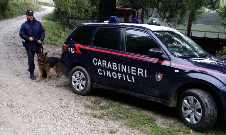 Napoli, droga nascosta tra le aiuole al rione Traiano e in un tombino al rione Lauro