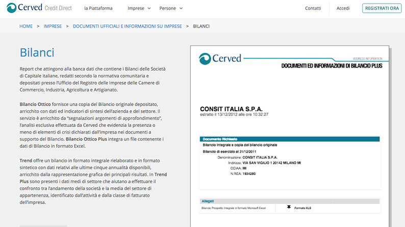 Informazioni sui bilanci delle aziende italiane: ecco come ottenerle velocemente