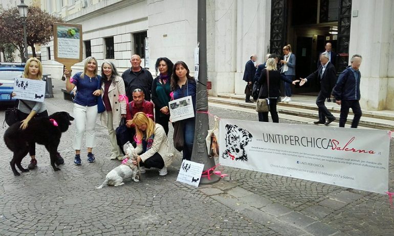 Salerno, condannato l’uomo che massacrò la sua cagnolina ‘Chicca’