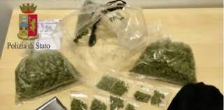 Era agli arresti domiciliari sorpreso in casa con la marijuana: blitz Polizia nel Casertano