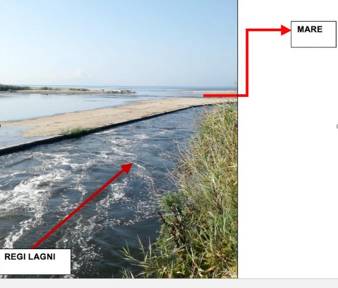 Relazione choc della Procura sulla gestione delle acque reflue casertane sui ‘Regi Lagni’.