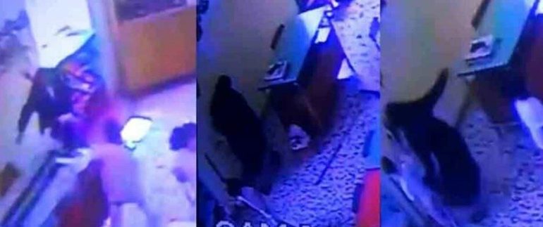 Bimbi picchiati all’asilo, le 4 suore chiedono lo sconto di pena