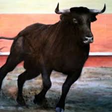 Trafitto da una cornata di un toro imprenditore caseario grave a Caserta
