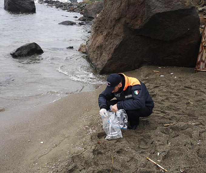 Gamberetti spiaggiati a Ischia, non è stato a causa dell’inquinamento: continuano le analisi