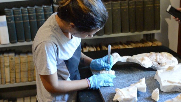 Caserta. Presentazione Progetto di riscoperta, restauro e valorizzazione di un cratere di marmo