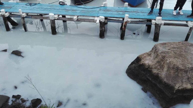 Napoli, i Verdi: ‘Punizione esemplare per gli scarichi a Mergellina’