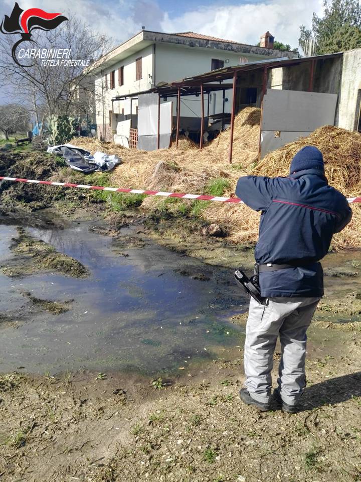 Smaltimento illecito di reflui zootecnici, sequestrata un’area di 200 mq a Buccino