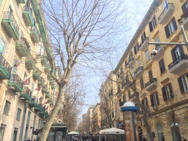 Napoli, al Vomero appello per la potatura degli alberi in strada