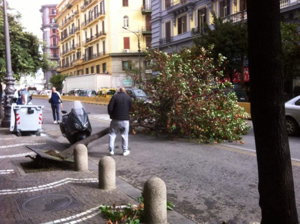 Maltempo, scuole e parchi chiusi anche domani a Napoli