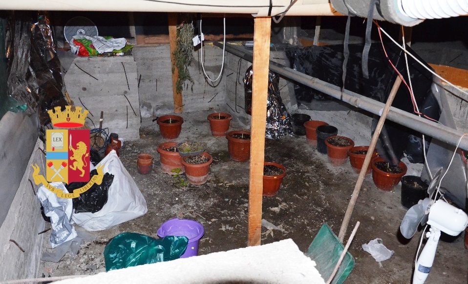 Torre Annunziata, laboratorio per la produzione di canapa indiana scoperto al rione Penniniello